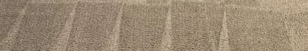 Steam Action Carpet Cleaning 