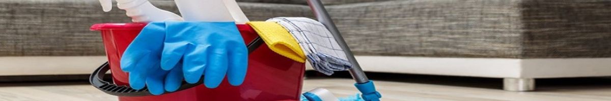 Bee-Dazzled Cleaning Service