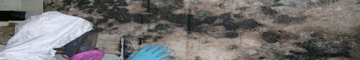 Rock Environmental, Inc.