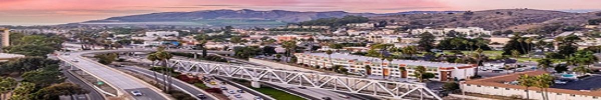 Ecola Termite - Ventura County 