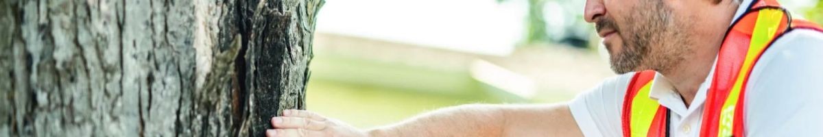 Team Gale Tree Service 