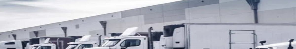 Ecoway Movers Ajax ON 