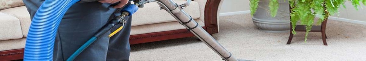 Sunshine Carpet Cleaning 