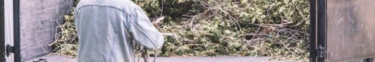 Timber Cuts Tree Service 