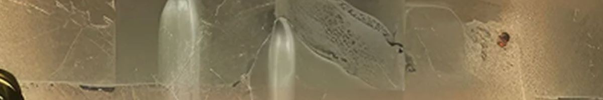 Rakhov Home Services 