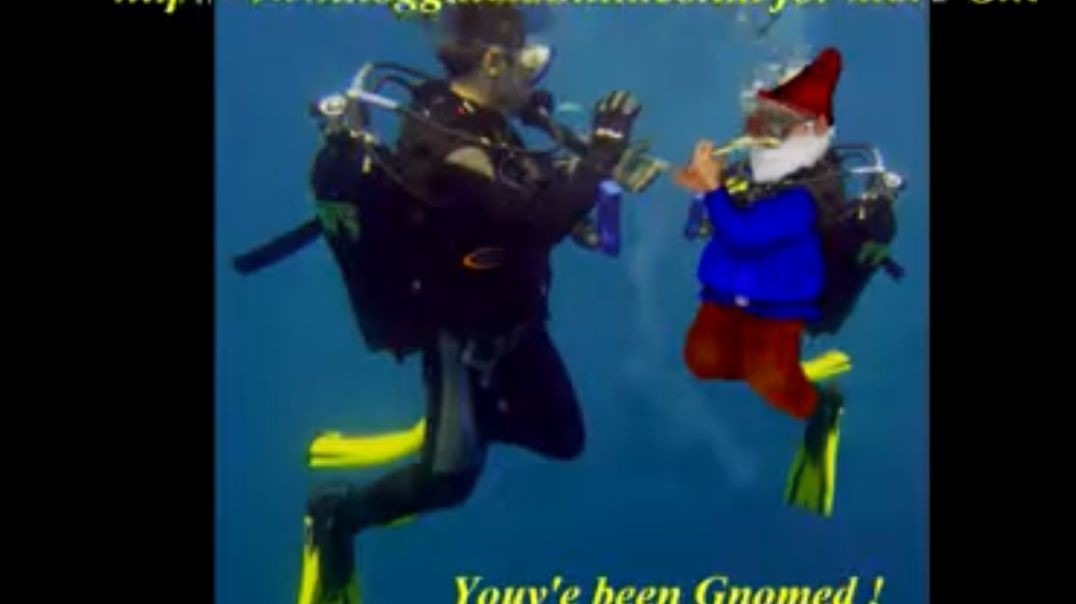 Noggin Clontith - I am a Gnome (Friends)