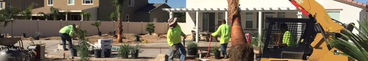 Exterior Designs Custom Landscape 