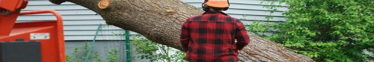 JSR Tree Service 